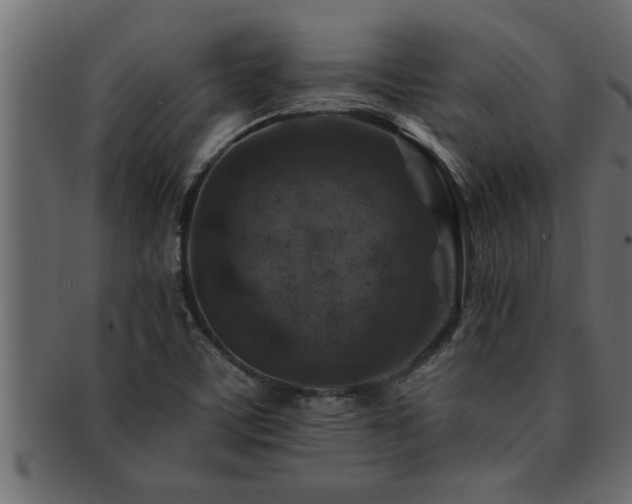 X0000093171459200709261519