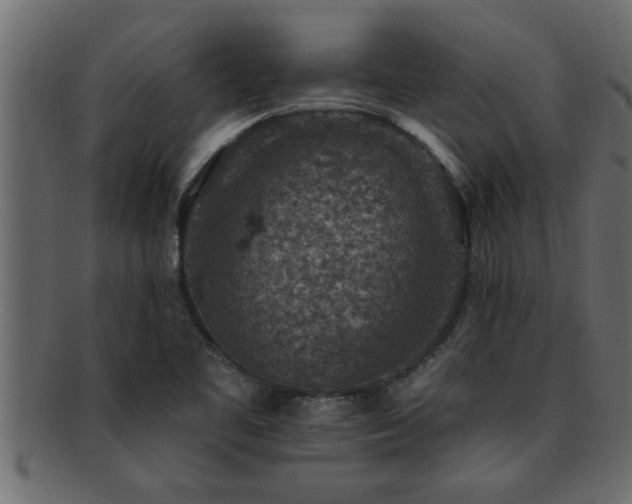 X0000093171461200709261519