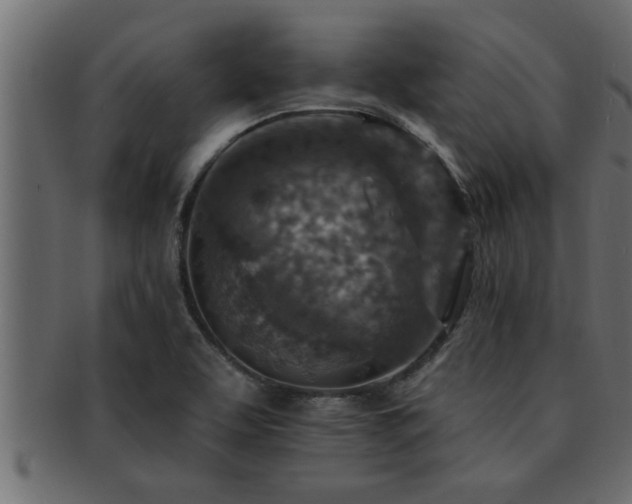 X0000093171463200709261519