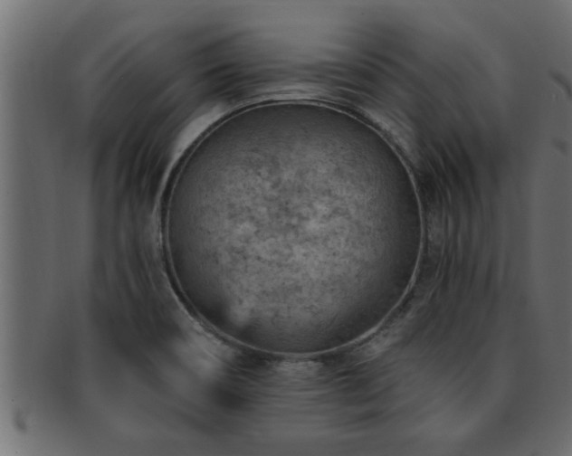 X0000093171466200709261519
