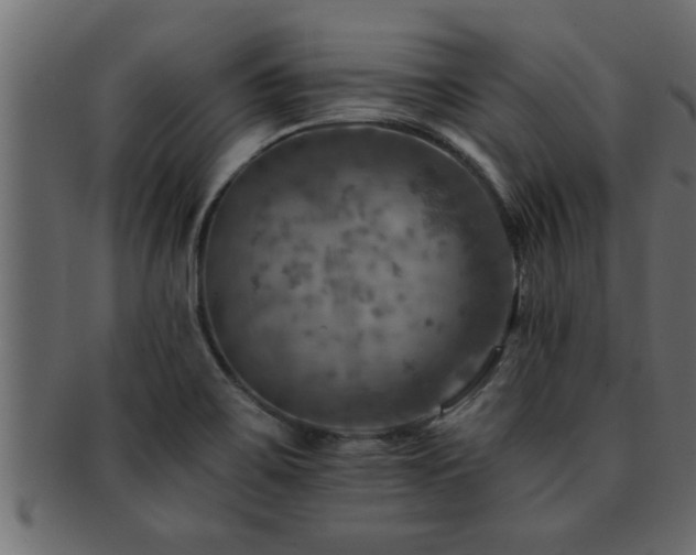 X0000093171467200709261519