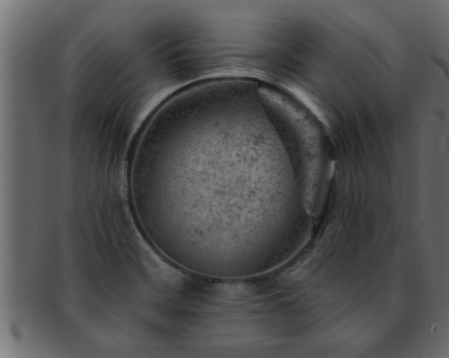 X0000093171468200709261519