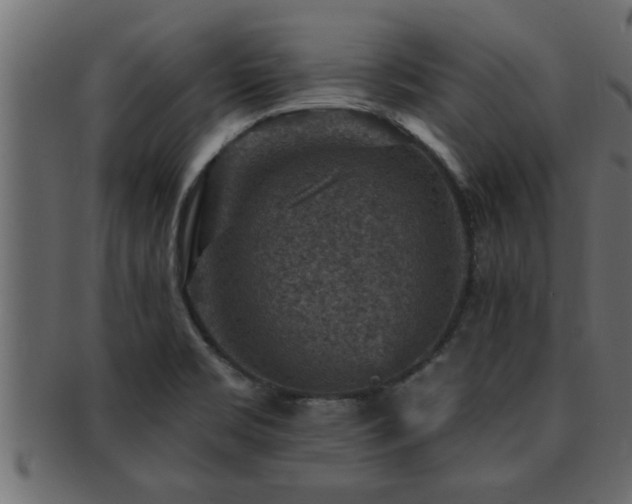 X0000093171469200709261519