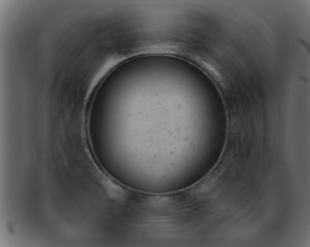 X0000093171470200709261519