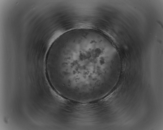 X0000093171471200709261519