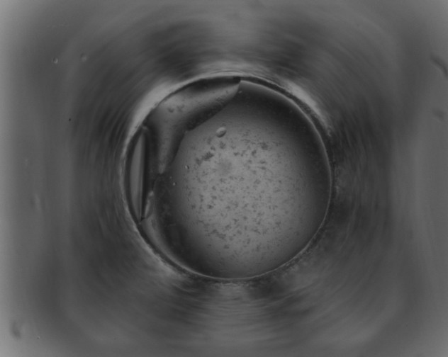 X0000093171472200709261519