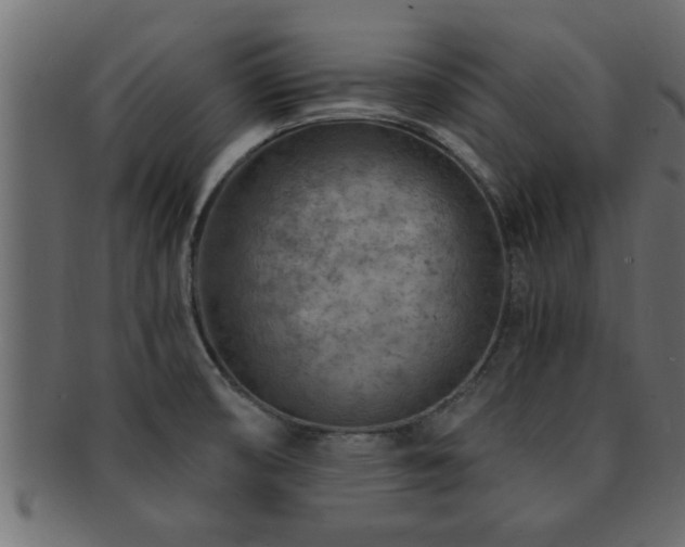 X0000093171474200709261519