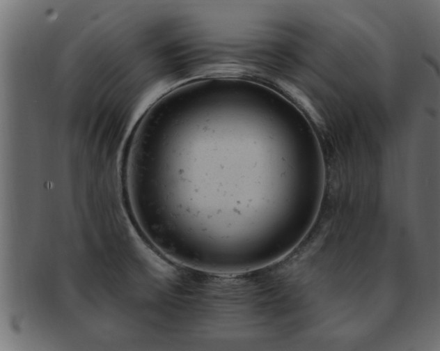 X0000093171475200709261519
