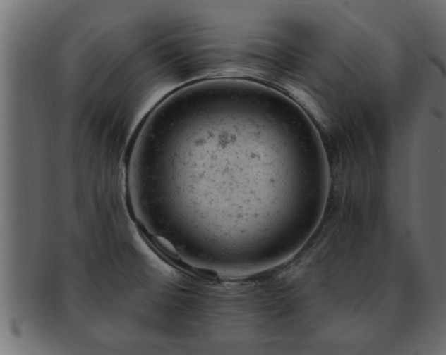 X0000093171476200709261519