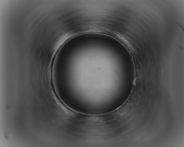 X0000093171479200709261519