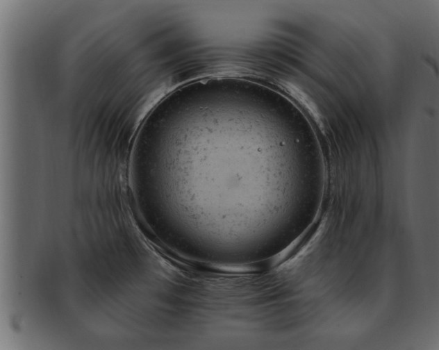 X0000093171481200709261519