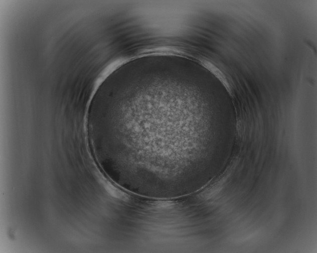 X0000093171482200709261519