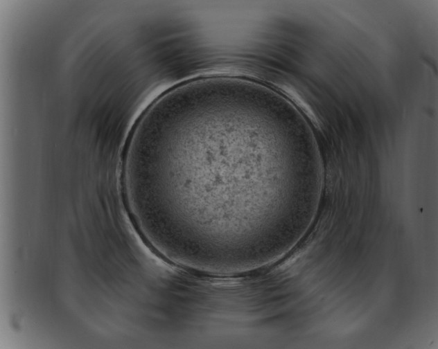 X0000093171484200709261519