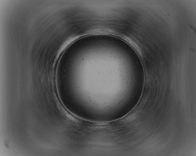 X0000093171486200709261519