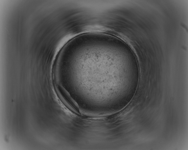 X0000093171488200709261518