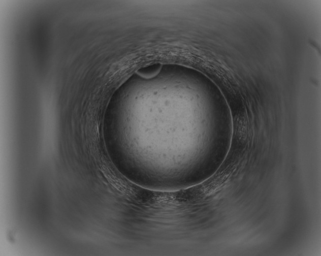 X0000093171489200709261518