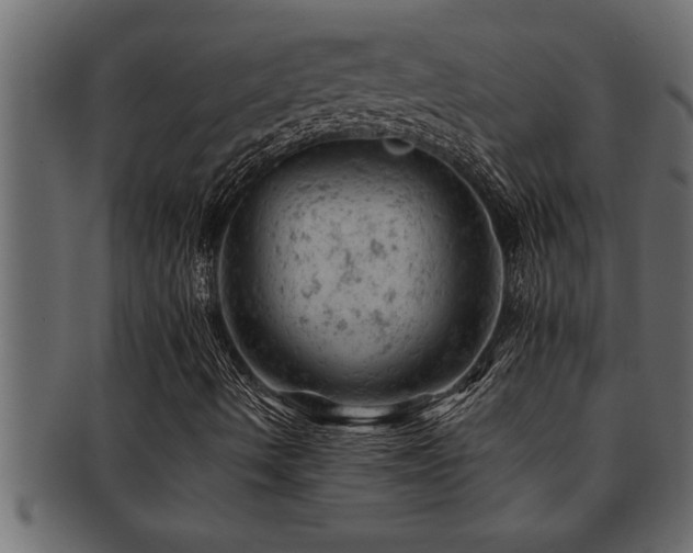 X0000093171490200709261518