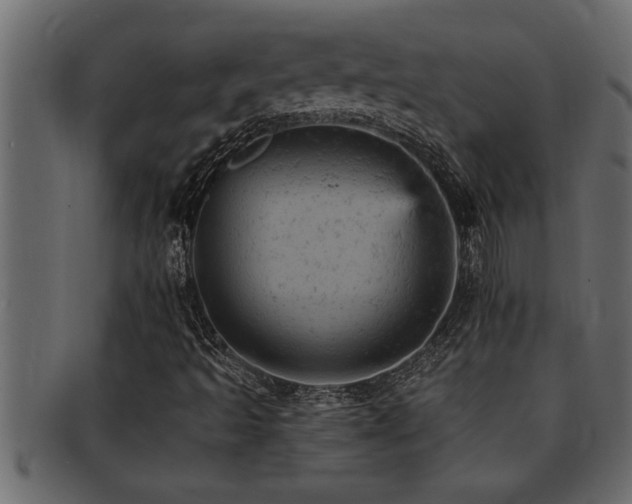 X0000093171493200709261518