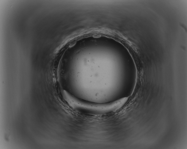 X0000093171496200709261518