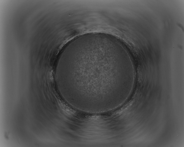 X0000093171497200709261518