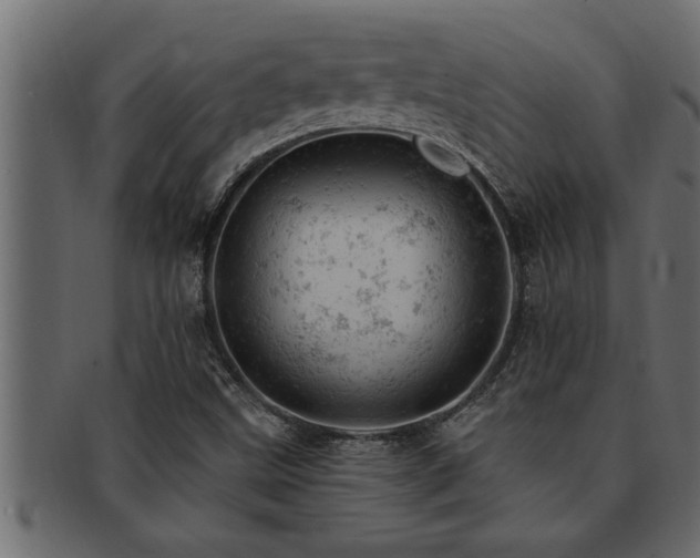 X0000093171499200709261518