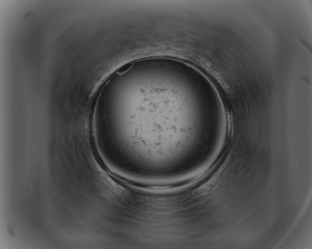 X0000093171500200709261518