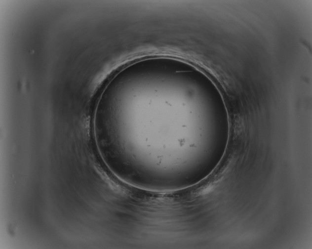 X0000093171503200709261518