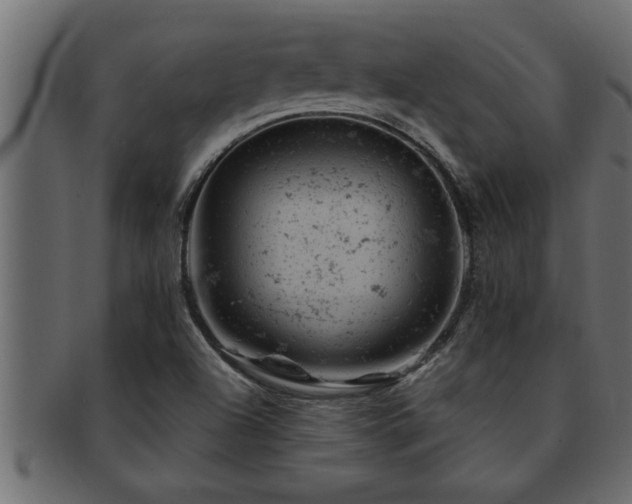 X0000093171504200709261518
