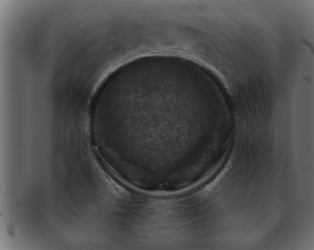 X0000093171506200709261518