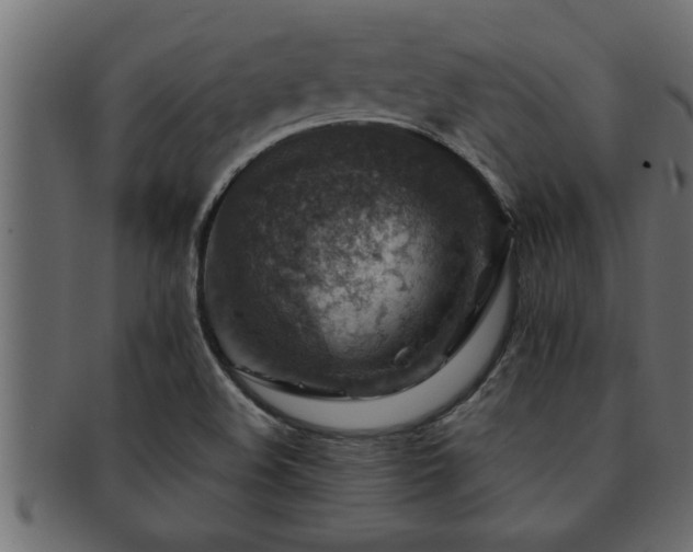 X0000093171508200709261518