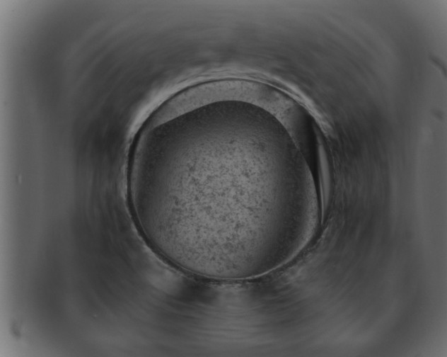 X0000093171512200709261518
