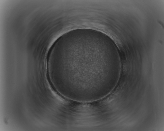 X0000093171515200709261518
