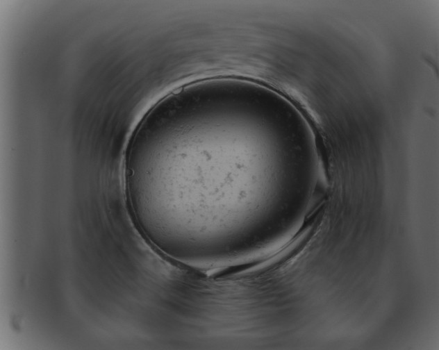 X0000093171516200709261518