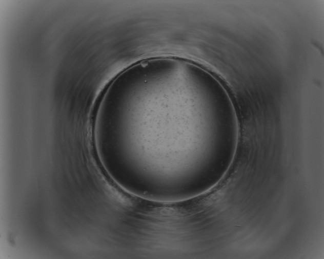 X0000093171517200709261518