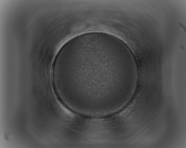 X0000093171519200709261518
