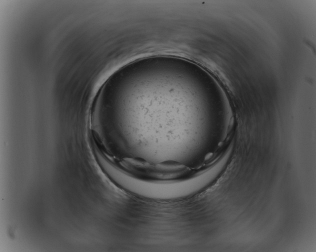 X0000093171520200709261518