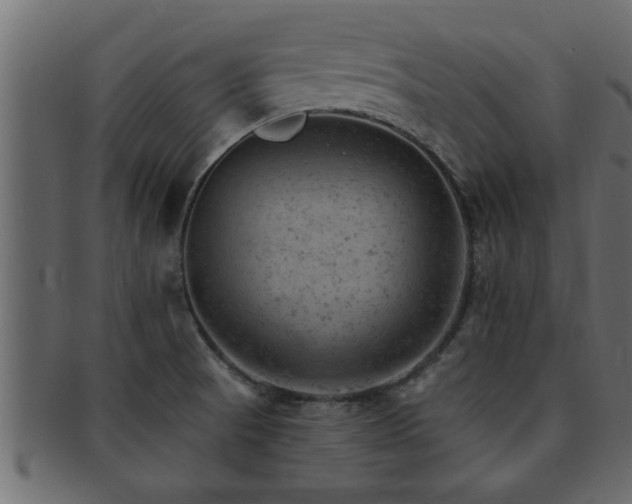 X0000093171521200709261518