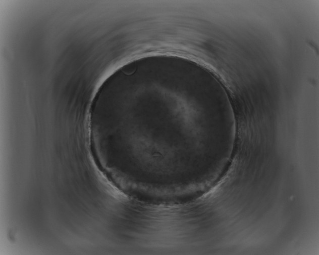 X0000093171522200709261518