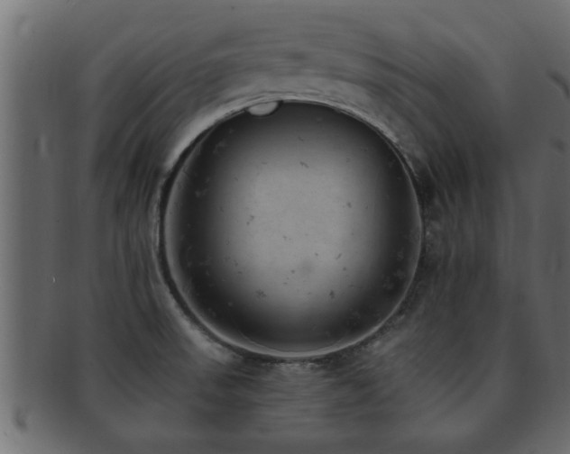 X0000093171523200709261518