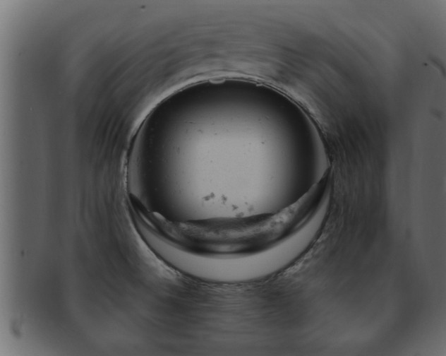 X0000093171524200709261518