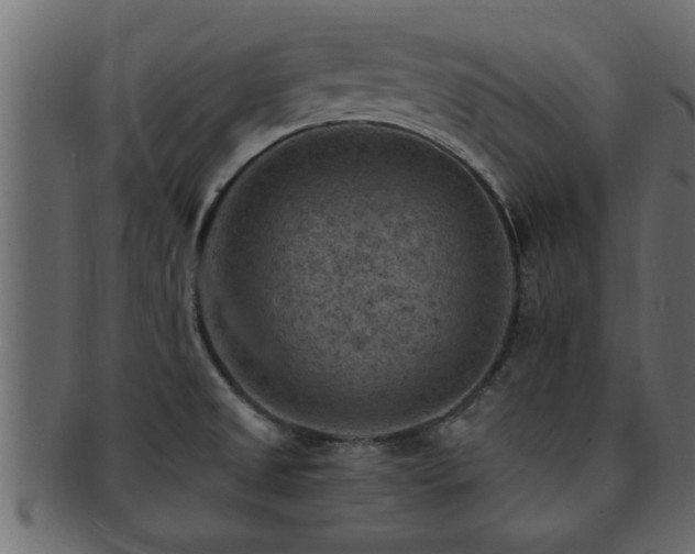X0000093171525200709261518