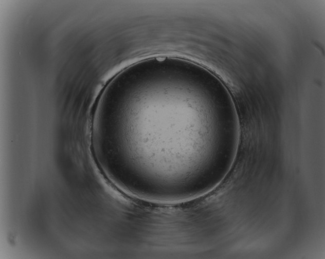 X0000093171526200709261518