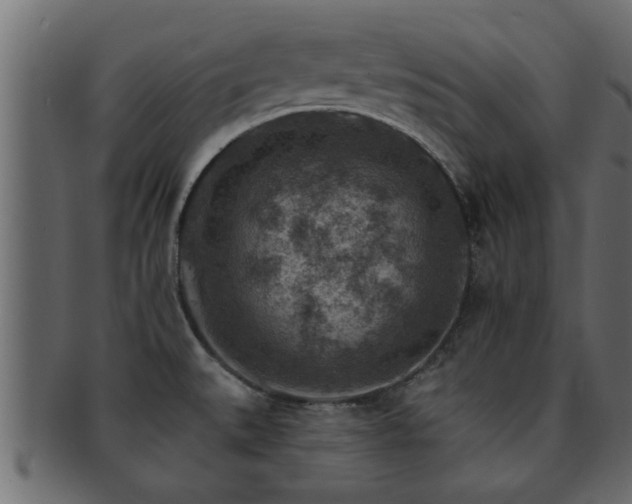 X0000093171527200709261518