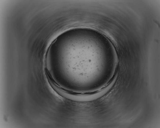 X0000093171528200709261518