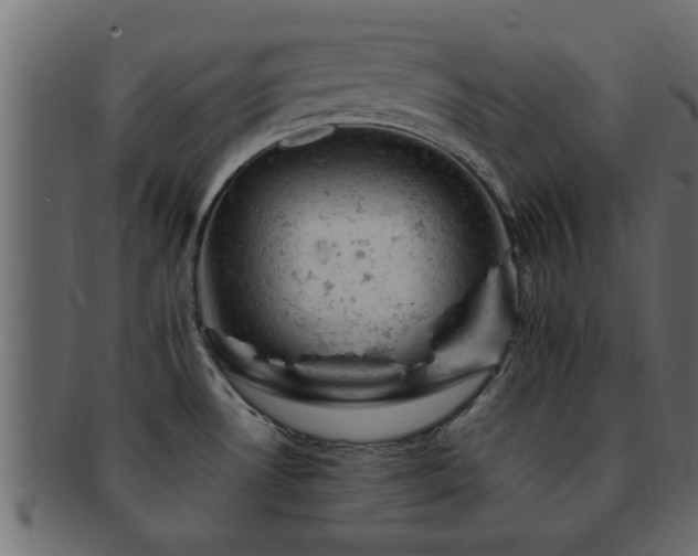 X0000093171530200709261518