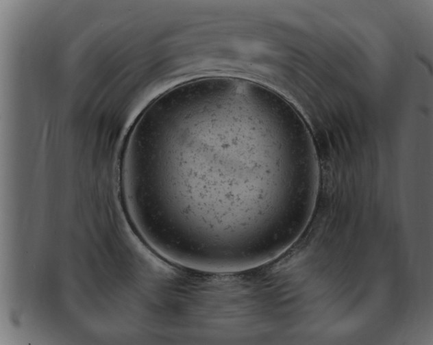 X0000093171531200709261518