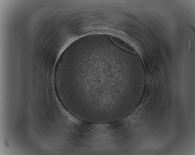 X0000093171533200709261518