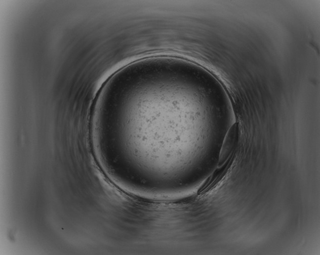 X0000093171534200709261518