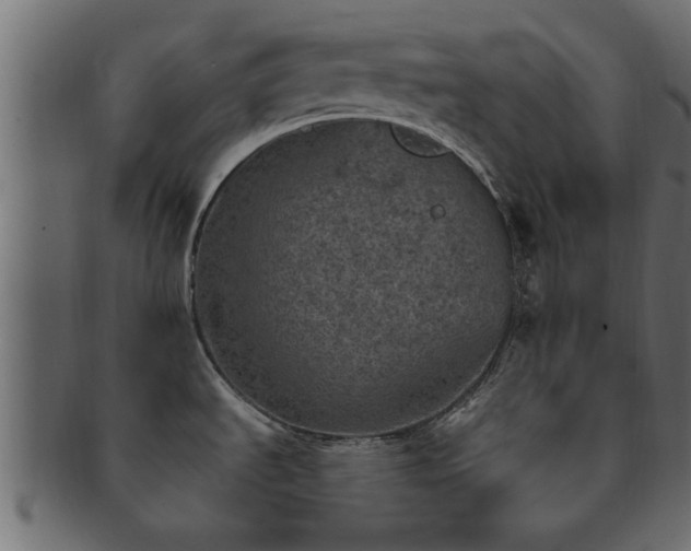 X0000093171535200709261518