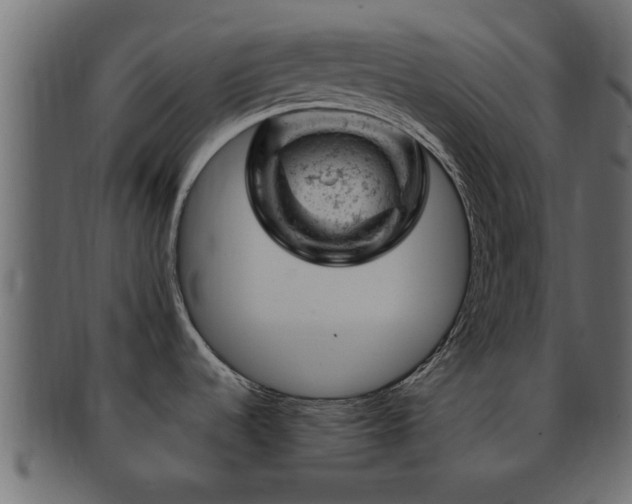 X0000093171536200709261518